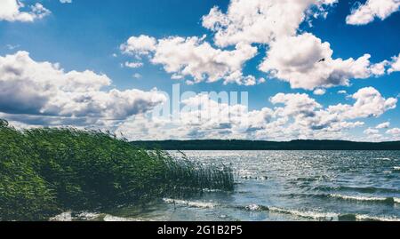 View of the beautiful Zarnowitzer See in Poland on a warm summer day with thick clouds. Melancholy Mood Loch Ness Panorama Poster on the Horizon. Stock Photo