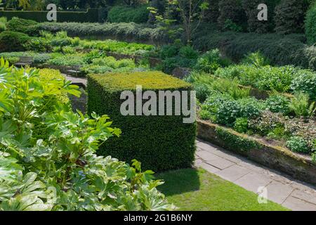 Beautiful green gardens Stock Photo