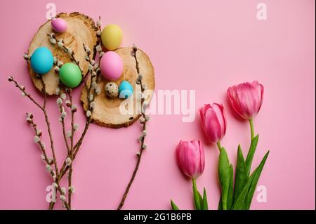 Willow, tulips and easter eggs on pink background Stock Photo