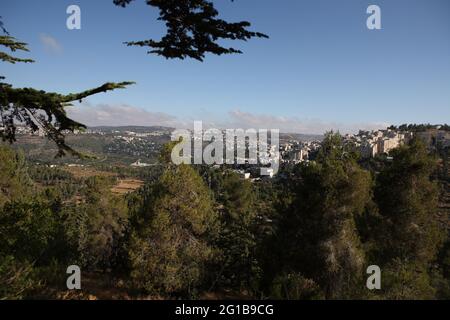 Biblical Judean Hills seen from the Jerusalem forest with Pine Trees,  Har Nof, Jerusalem neighborhood on the right, plus towns Motza & Mevaseret Zion Stock Photo