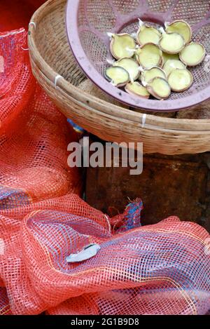 At the Kamakhya temple, devotees light earthen lamps filled with ghee (clarified butter) to fulfill their wishes. Located on the Neelachal Hills in Guwahati, it is one of the holiest shrines of Assam and venerated as a Shakti Peeth (seat of the female divine) in India. January 15, 2006. One of a set of photographs from the photo feature, Colour of the Deity – Kamakhya Temple, Assam, by Smita Barooah. Stock Photo