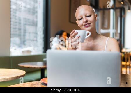 Thoughtful bald young female freelancer in chair surfing on laptop in light cafe while drinking cup of tea near tables and window Stock Photo