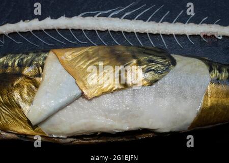 Atlantic mackerel (Scomber scombrus) Stock Photo