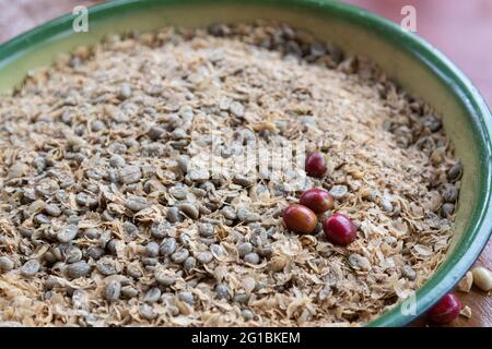 In a ceramic bowl are the raw coffee beans with the separated bowl and four coffee cherries for comparison. Stock Photo