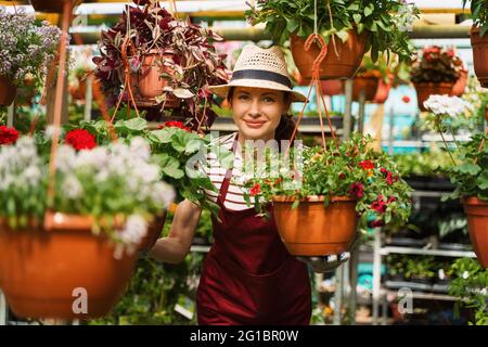 Woman gardener in hat and gloves works with flowers in the greenhouse. Stock Photo