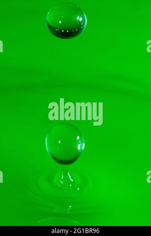 macro green water drop Stock Photo