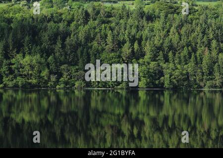 Trees in forest on hill reflected in water on summer day, Glencar Lough, County Leitrim, Ireland Stock Photo