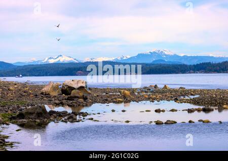 View from Campbell River, on Vancouver Island looking towards the mainland and coastal mountain range, BC, Canada Stock Photo