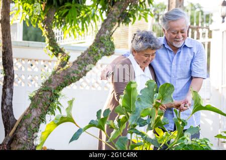 Smiling mature couple engaged and watering plant in garden front home. Asian senior planting together concept Stock Photo