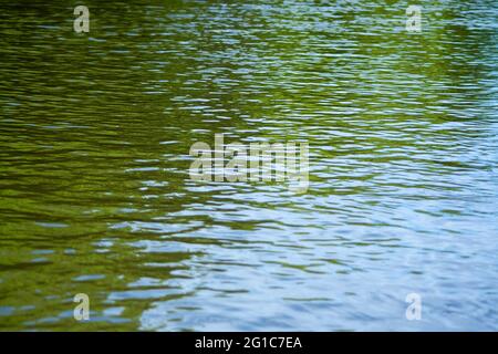 ripple green water texture with reflections of Stock Photo