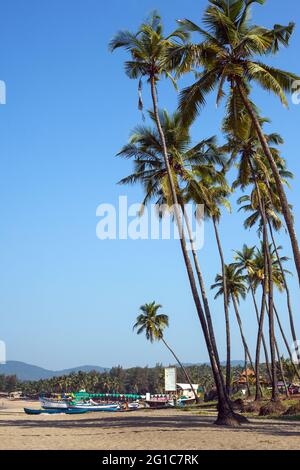 Fishing boats, tall palm trees and blue sky on the picturesque beach at Agonda, Goa, India Stock Photo