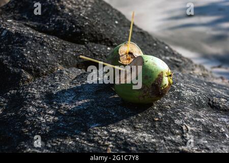 Two coconuts with drinking straws sat on rock as still life artwork in afternoon sunshine, Agonda, Goa, India Stock Photo