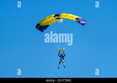 Parachutist with  yellow and blue parachute against a blue sky Stock Photo