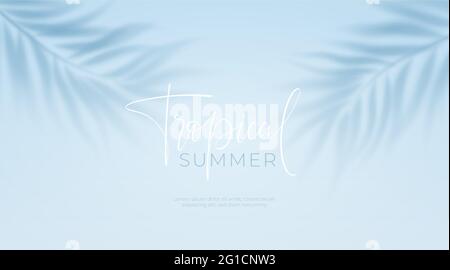 Realistic transparent shadow from a leaf of a palm tree on the blue background. Tropical leaves shadow. Mockup with palm leaves shadow. Vector Stock Vector