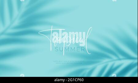 Realistic transparent shadow from a leaf of a palm tree on the blue background. Tropical leaves shadow. Mockup with palm leaves shadow. Vector Stock Vector