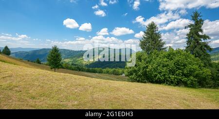 hay field in mountains. wonderful rural landscape. sunny summer day. clouds on the sky Stock Photo