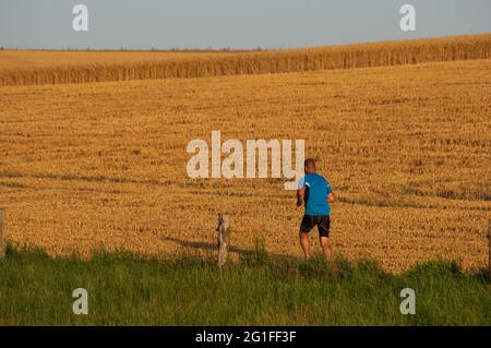 view of backside of a Man in fitness clothing running during morning sunrise on a harvested grain field. Concept of Health, fitness, agility. Stock Photo