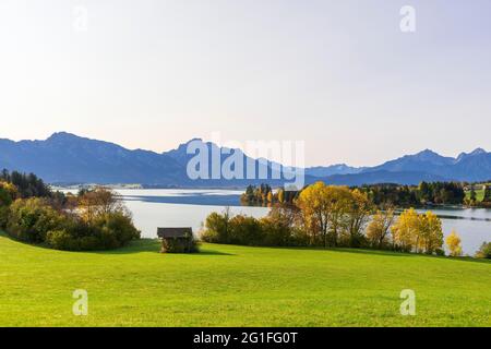 Forggensee near Fuessen, Tannheimer Berge, Ostallgaeu, Bavaria, Germany ...