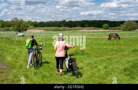 Excursion by bike in the surroundings of Berlin, Berlin, Germany Stock Photo