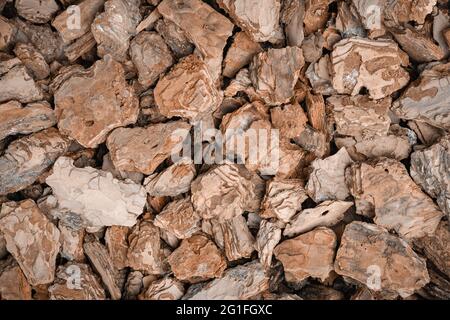 Background of pine bark nuggets layer used for gardening. Natural texture Stock Photo