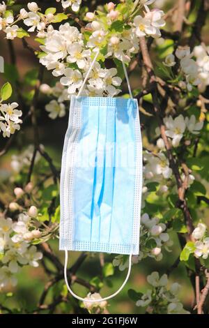 Blue face mask hanging from tree, North Rhine-Westphalia, Germany Stock Photo