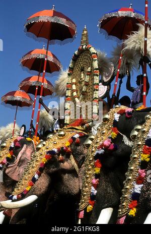 POORAM FESTIVAL, THRISSUR, KERALA Stock Photo