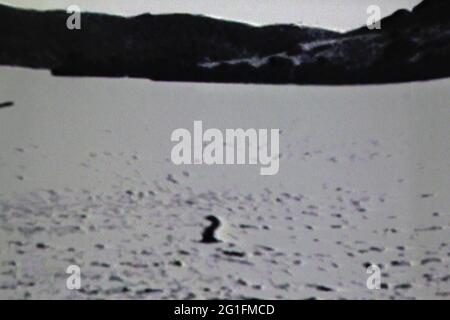 Loch Ness, lake, monster, monstrosity, Nessie, photography, black and white photo, historical photo, archive photo, Highlands, Highlands, Scotland Stock Photo