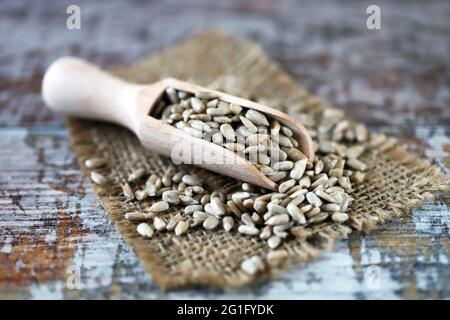 Sunflower seeds in a wooden spatula. Raw sunflower seeds. Stock Photo