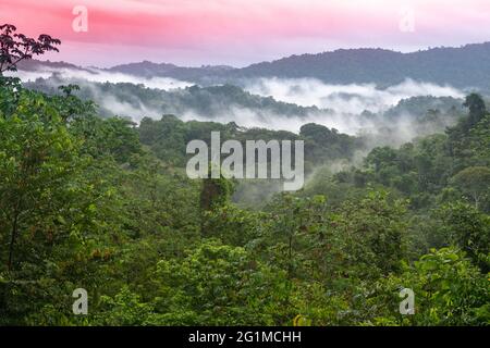 Overlooking the expanse of the Northern Range in Trinidad, West Indies. Tropical rainforest. Sunset over rainforest in the Caribbean. Stock Photo