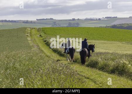 France, Indre et Loire, Verneuil-le-Chateau, transhumance of the sheep of the Shepherds of Veude in Chaveignes, towards the limestone hillsides of Rilly-sur-Vienne, the meadows belonging to the Departmental Council are classified ZNIEFF (natural areas of ecological interest in faunistic and floristic) Stock Photo