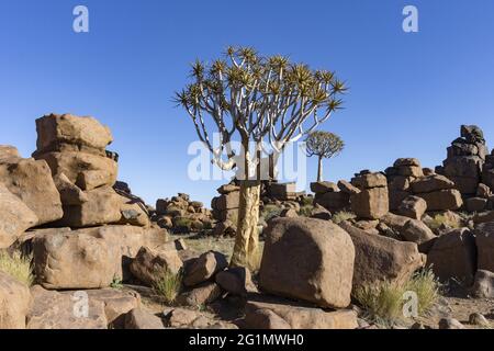 Namibia, Karas region, Keetmanshoop, Gariganus farm, Giant Playground, dolerite boulders Stock Photo