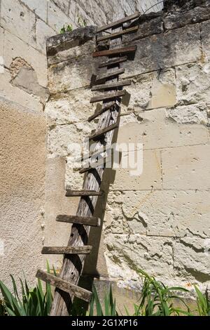 Simple hand-made wooden ladder for a domestic cat to climb a high wall - Beaulieu-lès-Loches, Indre-et-Loire (37), France. Stock Photo
