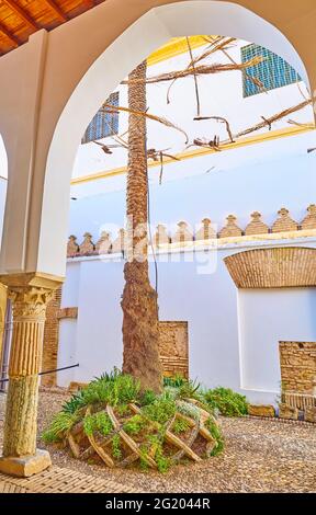 The scenic medieval courtyard of San Bartolome Chapel with ancient stone columns, arcade, preserved brick and stone walls, Cordoba, Spain Stock Photo
