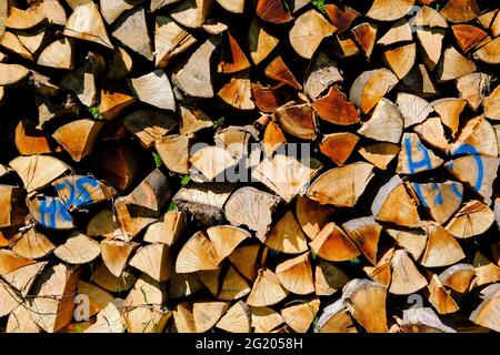 DEU, Deutschland, Rheinland-Pfalz, Zell, 01.06.2021: frisches Feuerholz gestapelt auf einer Wiese in der Naehe von Zell an der Mosel Stock Photo