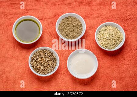 collection of hemp seed products: hearts, protein powder, milk and oil in small white bowls against textured orange paper, superfood concept Stock Photo