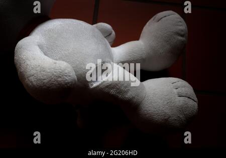 Kaufbeuren, Germany. 07th June, 2021. A stuffed animal with a tear on its leg is lying on the floor of an apartment. Credit: Karl-Josef Hildenbrand/dpa/Alamy Live News Stock Photo