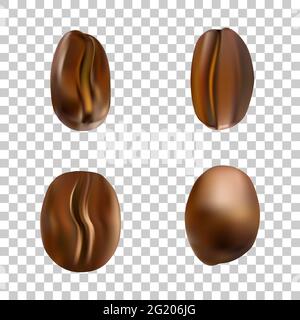 Vector realistic roasted coffee seeds for creation seamless pattern, decoration, background. Coffee beans solated on a transparent background. Stock Vector