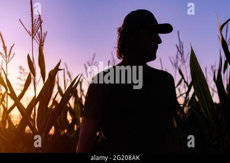 Silhouette of satisfied male farmer standing on cornfield, farm worker with baseball cap in sunset Stock Photo