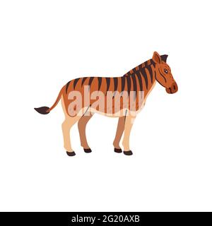 Extinct animals. Quagga. Prehistoric extinct north American striped horse, hybrid of zebra and horse. Flat style vector illustration isolated on white Stock Vector