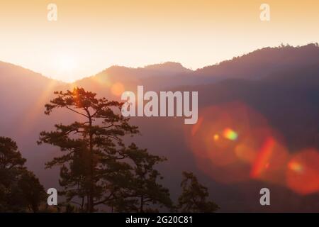 Glowing sunrise shines over mountains and pine forest, bright lens flare ray from the sun. Stock Photo