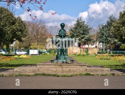 Centered morning view dark green old water fountain against spring pink cherry (Prunus Shogetsu Oku Miyako) blossom flowering tree, Herbert Park Stock Photo