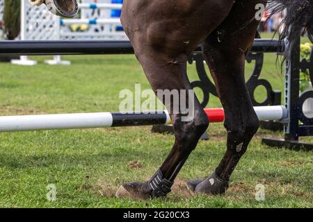 Horse Jumping, Equestrian Sports, Show Jumping event themed photograph Stock Photo