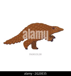 Rare animal collection. Pangolin or scaly anteaters. Unique mammals covered with scales. Flat style vector illustration isolated on white background Stock Vector