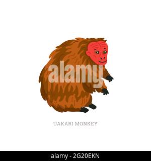 Rare animal collection. Bald uakari or bald-headed uakari. Cacajao calvus. Flat style vector illustration isolated on white background Stock Vector