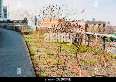 High Line Urban park in New York Stock Photo