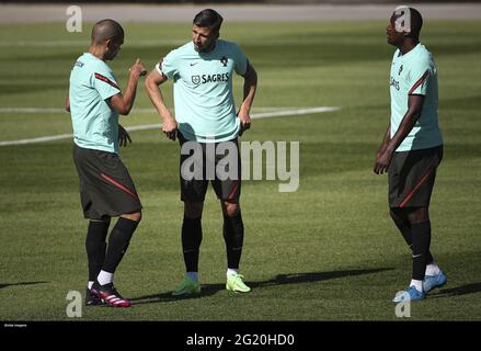 11837852 - UEFA European Qualifiers - Portugal training sessionSearch