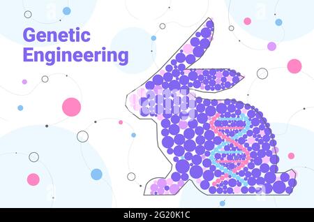 DNA of rabbit genetically modified animals genetic engineering biological research concept horizontal Stock Vector