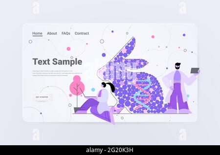 scientists working with DNA of rabbit researchers making experiment in lab genetically modified animals concept Stock Vector