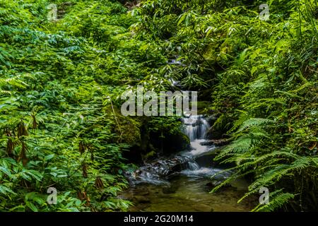 The various views of Jibhi Village Stock Photo