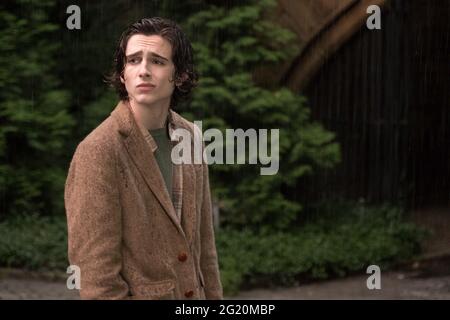 Timothée Chalamet A Rainy Day in New York Gatsby Blazer